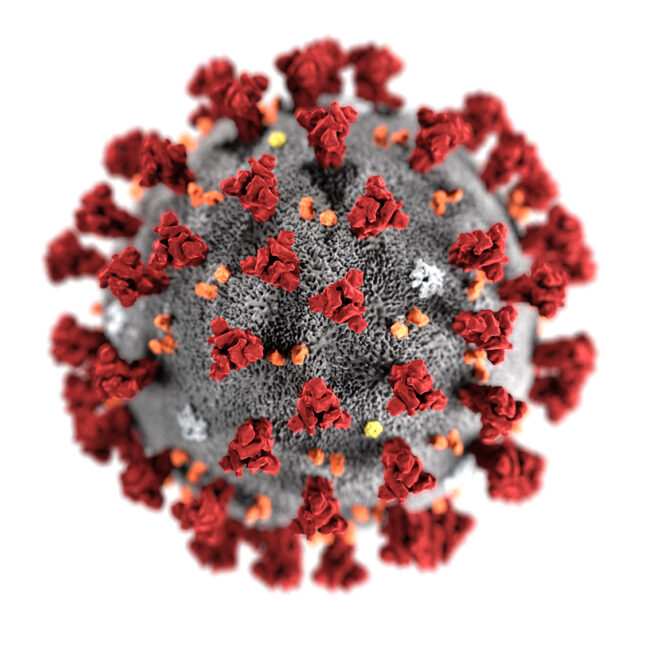 Coronavirus Update