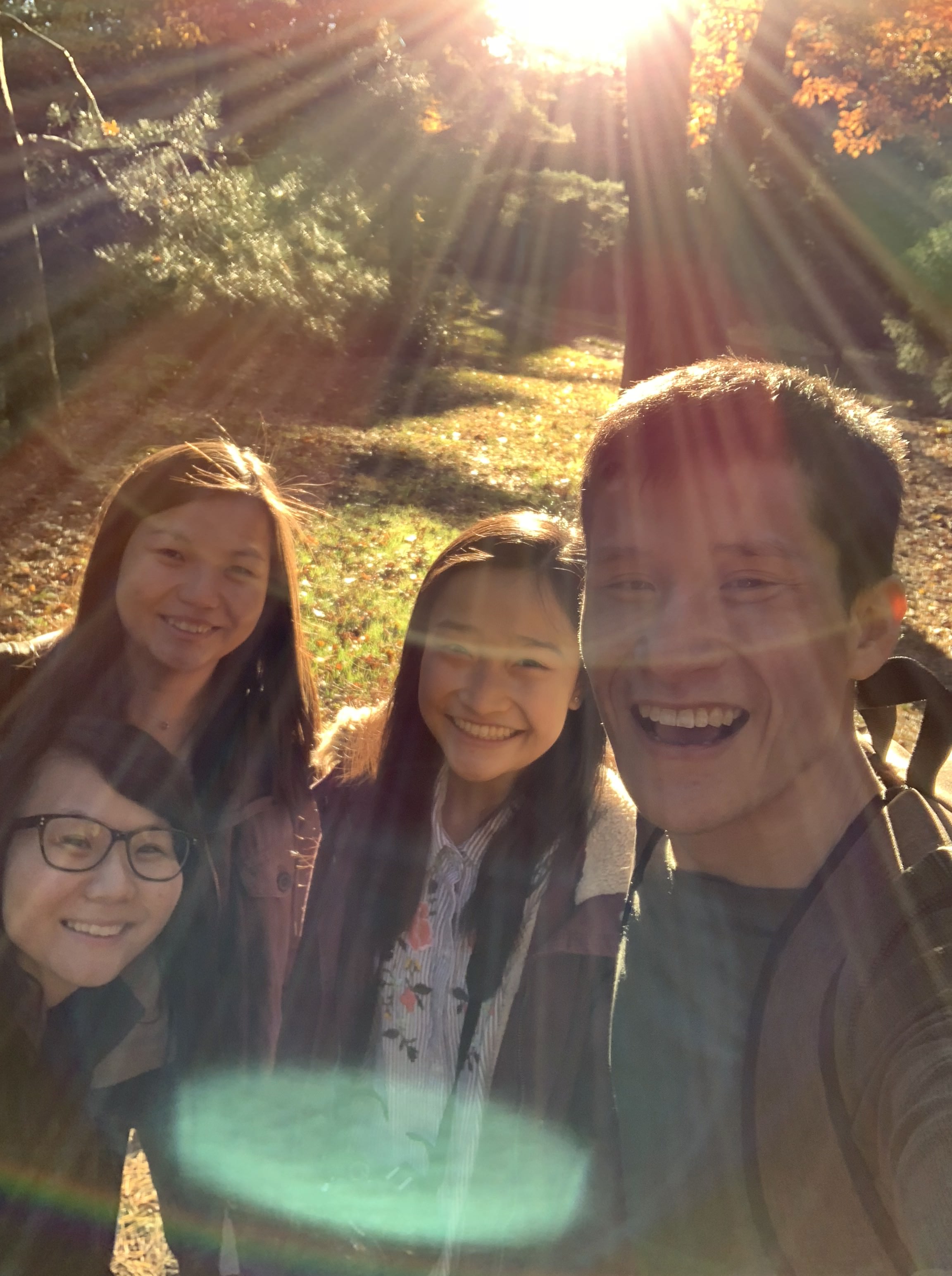 Three beautiful young girls with one young man under a sunshine glare in the woods