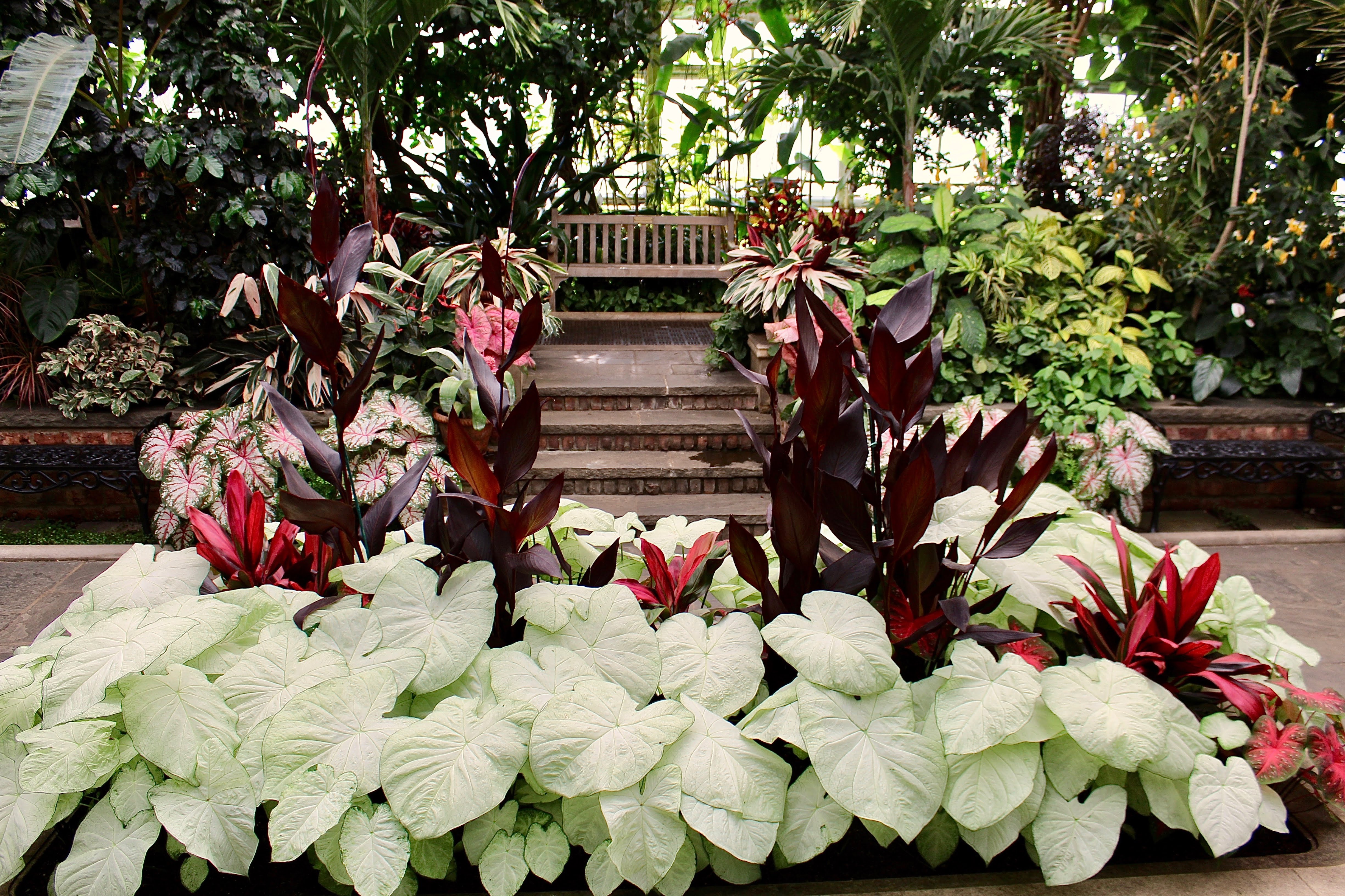 Beautiful symmetrical garden with stairs leading to a bench in the back