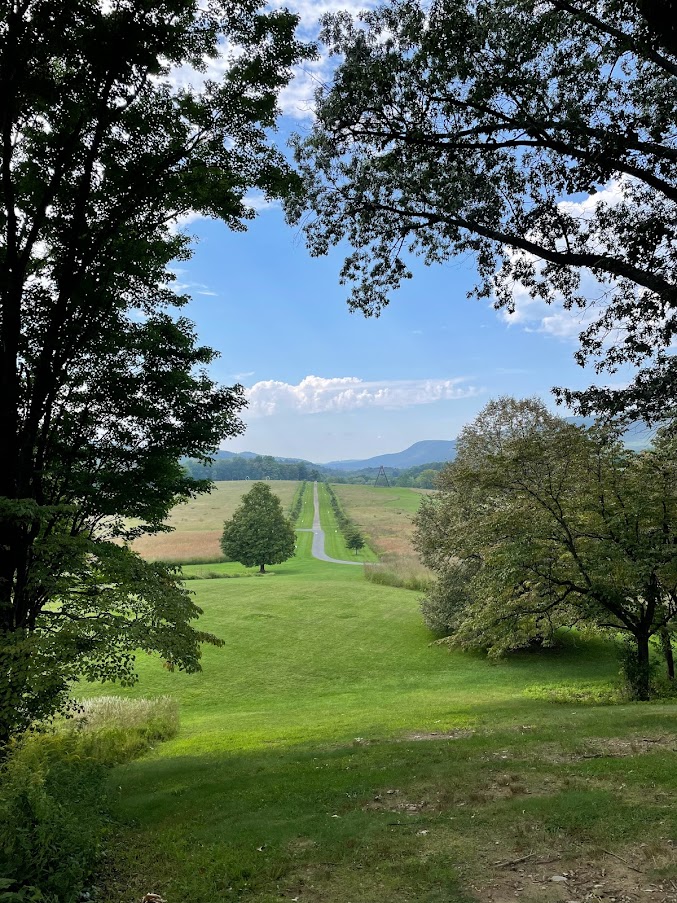 Embracing the Journey